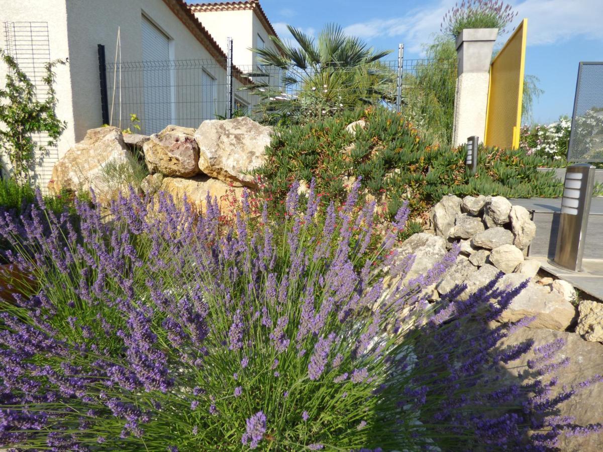 La Villa Du Saule Salles-d'Aude Ngoại thất bức ảnh